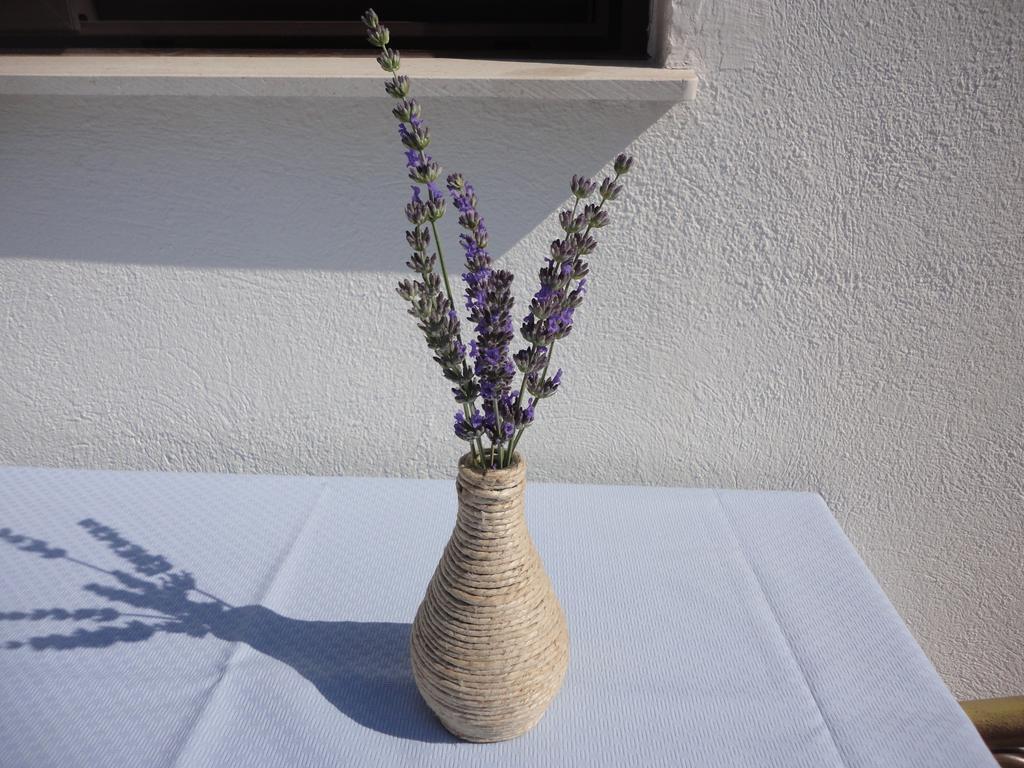 בול Guesthouse Apartment Bozica מראה חיצוני תמונה