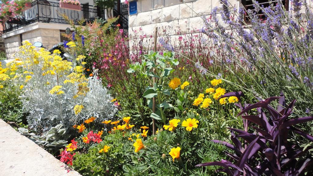 בול Guesthouse Apartment Bozica מראה חיצוני תמונה
